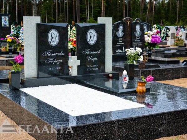 Памятники двойные